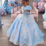 Toddler Girls Puffy Sleeve Embroidery Lace Costumes Princess Dress