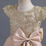 Toddler Girls Sleeveless Embroidery Bowknot Formal Maxi Dress