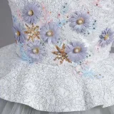Toddler Girls Sleeveless Daisy Flower Embroidery Formal Maxi Puffy Dress