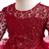 Toddler Girls Lace Hollow Out Long Sleeve Embroidery Formal Maxi Gowns Dress