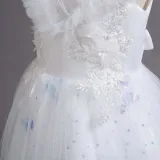 Toddler Girls Sleeveless Sequin Butterfly Embroidery Formal Maxi Puffy Dress