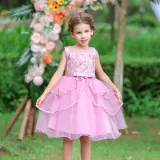 Toddler Girls Sleeveless Embroidery Flower Bowknot Belt Formal Midi Mesh Dress