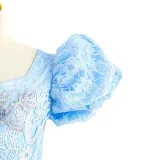 Toddler Girls Puffy Sleeve Embroidery Lace Costumes Princess Dress