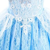 Toddler Girls Puffy Sleeve Embroidery Lace Costumes Princess Dress