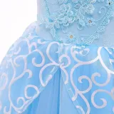 Toddler Girls Puffy Sleeve Embroidery Costumes Princess Dress
