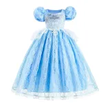 Toddler Girls Puffy Sleeve Embroidery Lace Costumes Princess Dress