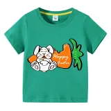 Easter Day Happy Easter Bunny Eat Carrot T-shirts For Boys And Girls