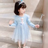 Toddler Girls Long Sleeve Heart Princess Mesh Sequin Tutu Dress
