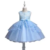 Toddler Girls Sleeveless Embroidery Flower Bowknot Belt Formal Midi Mesh Dress