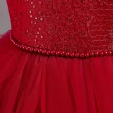 Toddler Girls Sleeveless Sequin Embroidery Formal Maxi Puffy Dress