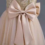 Toddler Girls Sleeveless Embroidery Bowknot Formal Maxi Dress