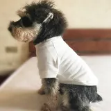 Family Matching Pajamas Exclusive Design Let's Do This Gray Pajamas Set