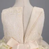 Toddler Girls Sleeveless Flower Rolls Embroidery Bowknot Belt Formal Maxi Puffy Dress
