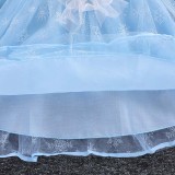 Toddler Girls Long Lace Sleeve Bowknot Princess Mesh Sequin Snowflakes Tutu Dress