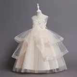 Toddler Girls Sleeveless Mesh Embroidery Formal Maxi Puffy Dress