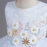 Toddler Girls Sleeveless Daisy Flower Embroidery Formal Maxi Puffy Dress
