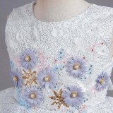 Toddler Girls Sleeveless Daisy Flower Embroidery Formal Maxi Puffy Dress