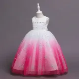 Toddler Girls Sleeveless Sequin Embroidery Gradient Formal Maxi Puffy Dress
