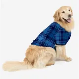 Family Matching Pajamas Exclusive Design Let's Do This Gray Pajamas Set