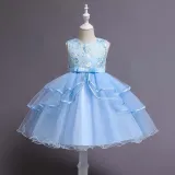 Toddler Girls Sleeveless Embroidery Flower Bowknot Belt Formal Midi Mesh Dress