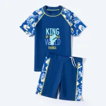 Toddler Kids Boy Two Pieces Swimwear Cartoon King Of the World Dragon Swimsuit