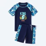 Toddler Kids Boy Two Pieces Swimwear Cartoon King Of the World Dragon Swimsuit
