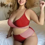 Women Two Pieces Colorblock Twist High Waist Plus Size Bikini Swimsuit