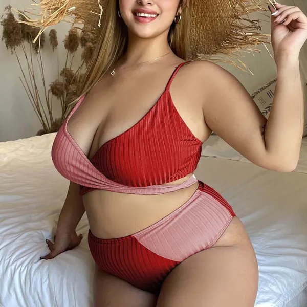 Women Two Pieces Colorblock Twist High Waist Plus Size Bikini Swimsuit