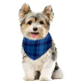 2023 We Are Family Christmas Matching Family Pajamas White Short Pajamas Blue Pants Set With Dog Pajamas