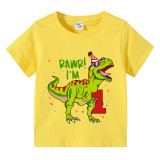 Boys Clothing T-shirts Sweaters Custom Birthday Celebration Cartoon I am Dinosaurs Boy Tops