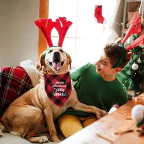 4 Pieces Merry Christmas Antler Pet Scarf Christmas Dog Bandanas