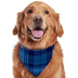 Christmas Matching Family Pajamas It's The Most Wonderful Time of The Year Crosses Blue Plaids Pajamas Set
