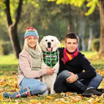 4 Pieces Merry Christmas Y'all Design Pet Scarf Dog Bandanas