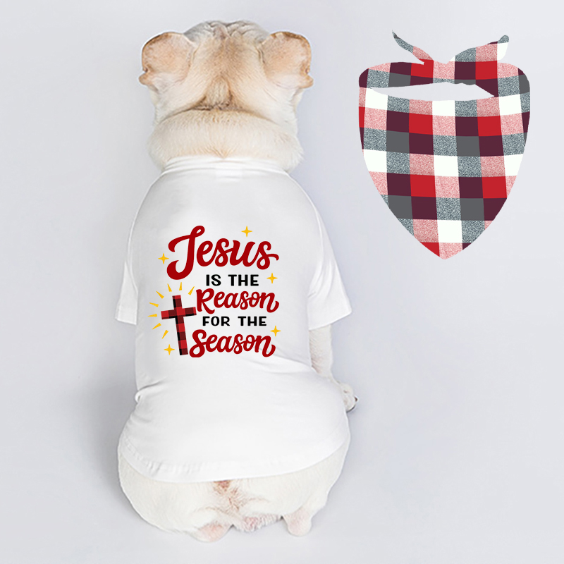 Christmas Design Jesus is The Reason Christmas Dog Cloth with Scarf