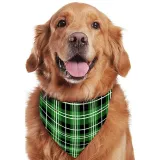 Christmas Matching Family Pajamas Here Comes Santa Paws Green Pajamas Set