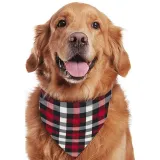 Christmas Matching Family Pajamas Here Comes Santa Paws Red Pajamas Set
