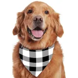 Christmas Matching Family Pajamas Here Comes Santa Paws Gray Pajamas Set