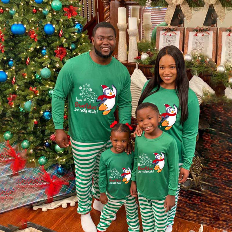 Christmas Matching Family Pajamas Funny Flying Penguins How Snowflakes are Really Made Green Stripes Pajamas Set