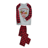 2024 Christmas Matching Family Pajamas Dachshund Through The Snow Gray Pajamas Set