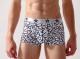 Fashion Men's underwear