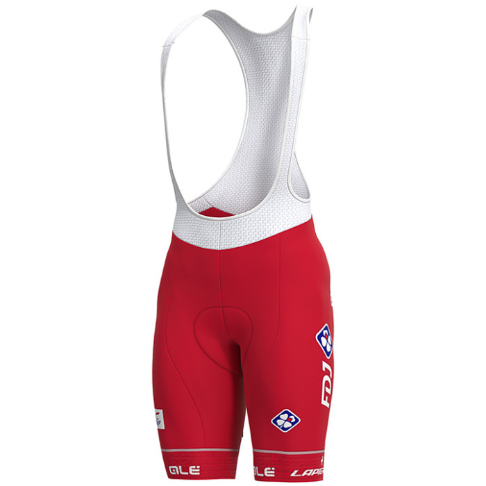 Set GROUPAMA-FDJ Schweizer Meister 2020 (2 Teile)