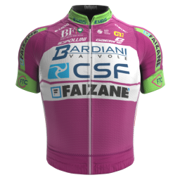 Bardiani - CSF - Faizanè [BCF] 2022 Cycling Jersey And Bib Shorts