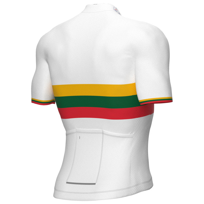 2022 GROUPAMA-FDJ SHORT SLEEVE JERSEY LITHUANIAN CHAMPION And Bib Shorts