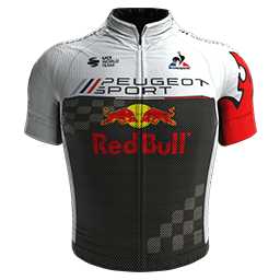 2022 RedBull Team Cycling Jersey And Bib Shorts Set-Gery