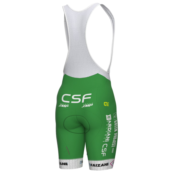 2023 Green Project-Bardiani-CSF-Faizane Cycling Jersey And Bib Shorts Set