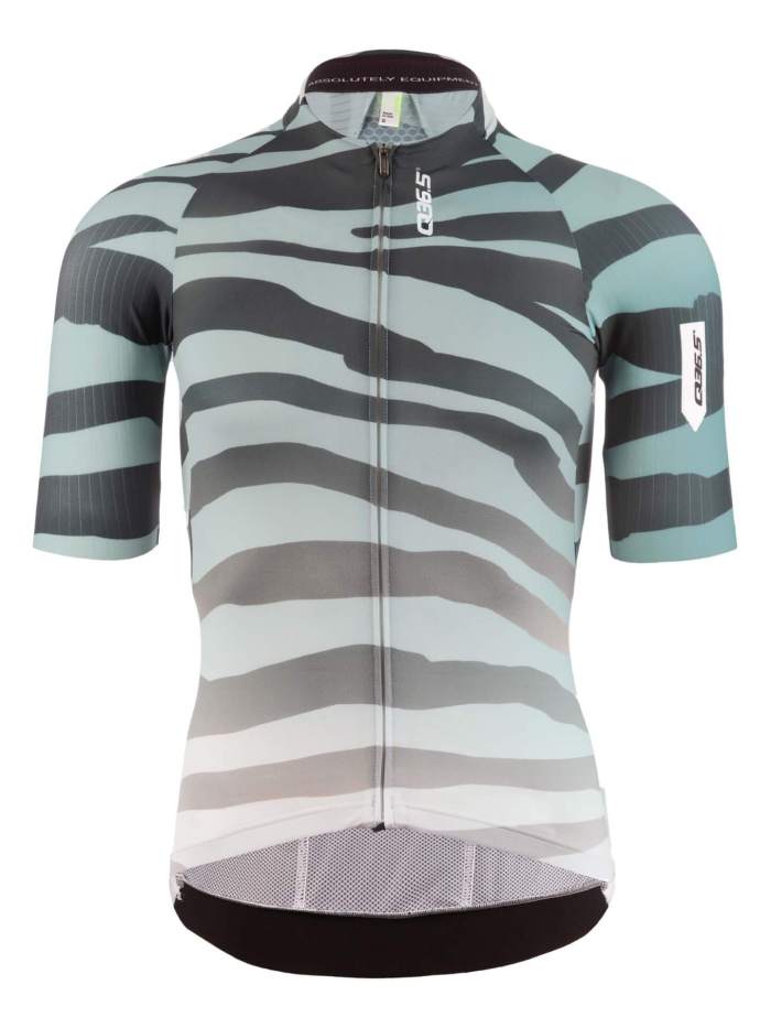 2023 Team Q36.5 Tiger Sage R2 Cycling Short Sleeve Jersey And Bib Shorts Set