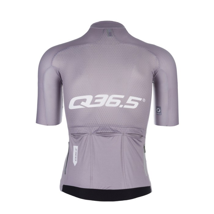 2023 Team Q36.5 R2 Signature Titanium Cycling Short Sleeve Jersey And Bib Shorts Set