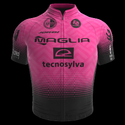 2023 Maglia - Tecnosylva - Bembibre Cycling Team Cycling Short Sleeve Jesey And Bib Shorts Set