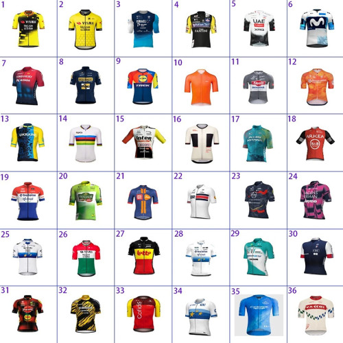 2025 Mens Cycling team Short Sleeve Jersey Cycling Jersey Bicycle Jersey Shirt