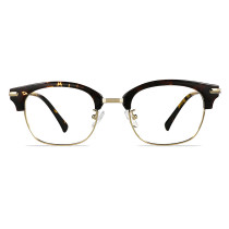 S2197_Brown Tortoise